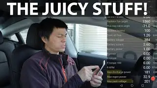 Checking battery in Model 3 SR+ with ScanMyTesla