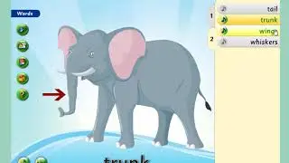 I-DICTIONARY 2 - UNIT 1 ANIMALS