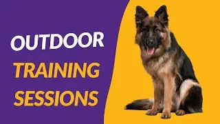 Set Up A Safe Outdoor Training Session