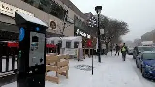 Montreal Snow Walk | Fantastic Snowfall in Monkland Village Winter in Canada 