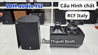 Loa LDH T12 Xịn driver RCF Italy duy nhất 1 cặp. Gi&aacute; Tốt