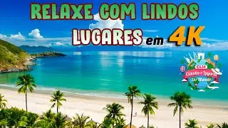 Relaxa Com lindas Imagens em 4K - Natureza, Animais, Praias, nature, beaches Relax 2025