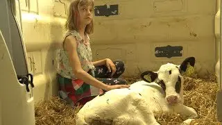 Prignitz: 230 Sch&uuml;ler beim 2. Tag der Landwirtschaft