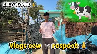 गऊ माता को दिया चारा 🙏#vlog #dalyvloge #song Cow 🐄 respect 🫡 भरवेली vloger daly vloger 