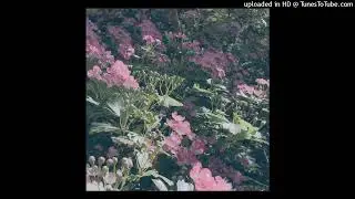 dxvl* - feeling nice! w/lukewarm