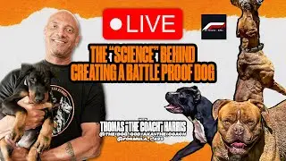 Creating A BATTLE Proof Dog | Coach @the_dog_god_aka_the_coach
