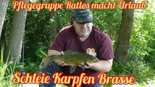 Pflegegruppe Ratlos macht Urlaub - Schleie, Karpfen, Brasse