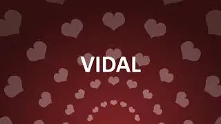 HAPPY BIRTHDAY VIDAL