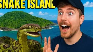 Mr beast in a snake island-hindi/urdu dubbed 