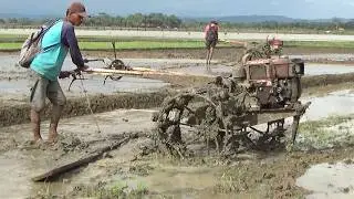 Dua Traktor Sawah Kerja Sama Di Dua Petak Berdampingan