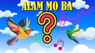 Alam Mo Ba? (Do You Know?) / Tagalog Kids Song / Nursery Rhyme