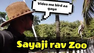 sayaji rav zoo garden mesuem @PurveshTalavia #gujrat
