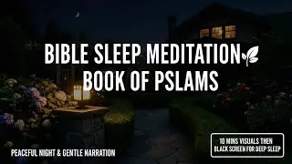 Peaceful Psalms for Sleep | All 150 Chapters with Rain ASMR | Black Screen for Deep Rest