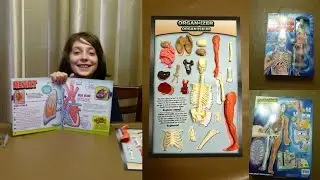 Squishy Human Body Toy | By SnakyLand