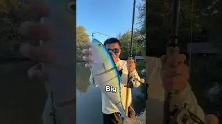 World&rsquo;s Most REALISTIC But RIDICULOUS Bait EVER&hellip;