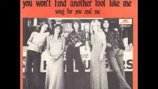 The New Seekers - You Won't Find Another Fool Like Me