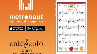 Metronaut User Demo