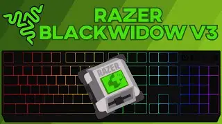 Razer Blackwidow V3 Green Switch Typing Test