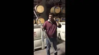 Punch down Miralaguna's 2017 Sangiovese