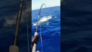 Monster Fish Caught in USA River! 🎣 Insane Fishing