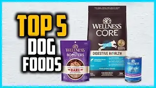 ✅Top 5 Best Dog Foods for Small Dogs in 2024