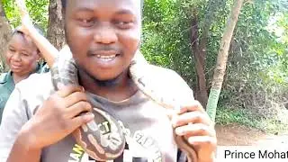 Touring the Accra Zoo.|| See this Lion and Snake movement