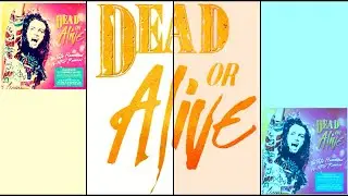 Dead or Alive - Total Stranger (REMASTERED VOCALS Pete Hammond Linn Lovers Edit)