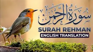 Surah Rahman with urdu tarjuma k Sath | Qari Al sheikh Abdul bashir Abdul sammad