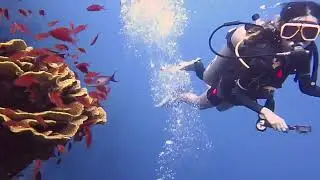 Descend into the Depths: Diving Dahab&rsquo;s Canyon & Blue Hole! 🤿
