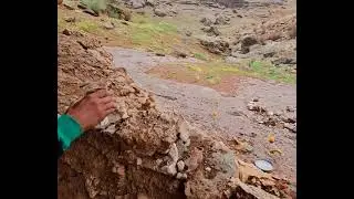 unbelievable in the desert fails