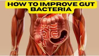 5 High-Fiber Foods That Heal Your Gut Naturally |  Surprising Foods That Boost Your Gut Bacteria