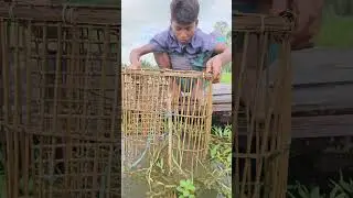 Fishing With Bamboo Tools#shorts #shortvideo #fishingshorts