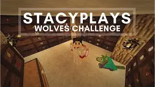 MINECRAFT STORAGE DRAWERS - STACYPLAYS WOLVES CHALLENGE MODDED MINECRAFT (EP.7)