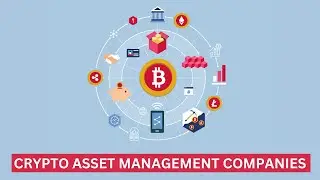 TOP Crypto Asset Management Companies to Check Out