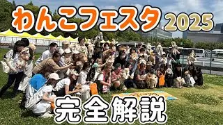 【最速】ジャパンわんこフェスタ2025行ってきたー！