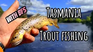 Trout fishing in Tasmania with BFS.