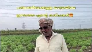 പഞ്ചാബിലേക്കുള്ള യാത്രയിലെ ഇന്നത്തെ എന്റെ കാഴ്ചകൾ😍| KERALA  TO PUNJAB | VLOG 6 | YATHRIKAN VLOGS
