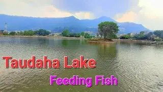 Taudaha Lake vlog - Feeding Fish || टौदह, काठमाडौं