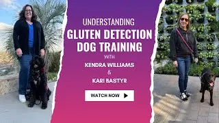 What is the right breed of dog to be a gluten detection service dog? Answering your questions