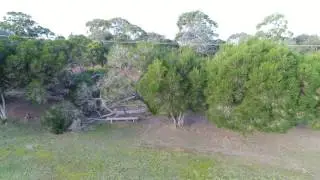 Parndana School Boundary Vegetation
