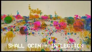 Shall Ocin - Inflection (Clash Lion 010)