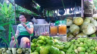How to make noni wine, a recipe from my grandma.