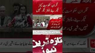The caretaker government became a caretaker and not a chairtaker