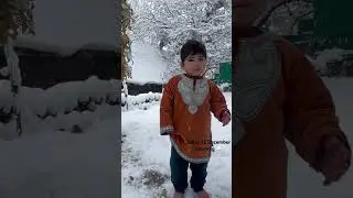 Today snowfall in Kashmir 12 December #shorts #viral #gulmargsnowfall #kashmir