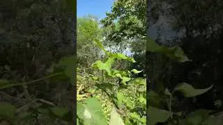 釣りができない時はポイントを創る