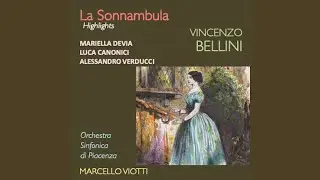 Vi ravviso, o luoghi ameni, IVB 14 (Alessandro Verducci)