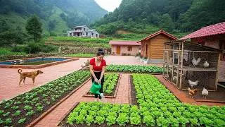 60 Days OFF GRID: Female CEO Builds Brick Beds & Raises Farm Animals | From Start to Finish