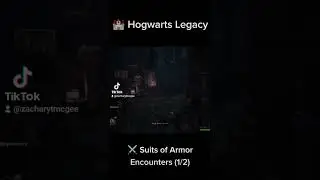 Magical Suit of Armor Epically Fails #hogwarts #hogwartslegacy #suitsofarmor #fail #fails