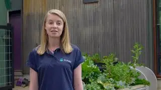 Water efficiency in the garden