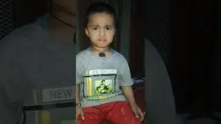 ANGRY BIRDS #song #funny #pahadidil #viral #dilsepahadi #shorts #trending